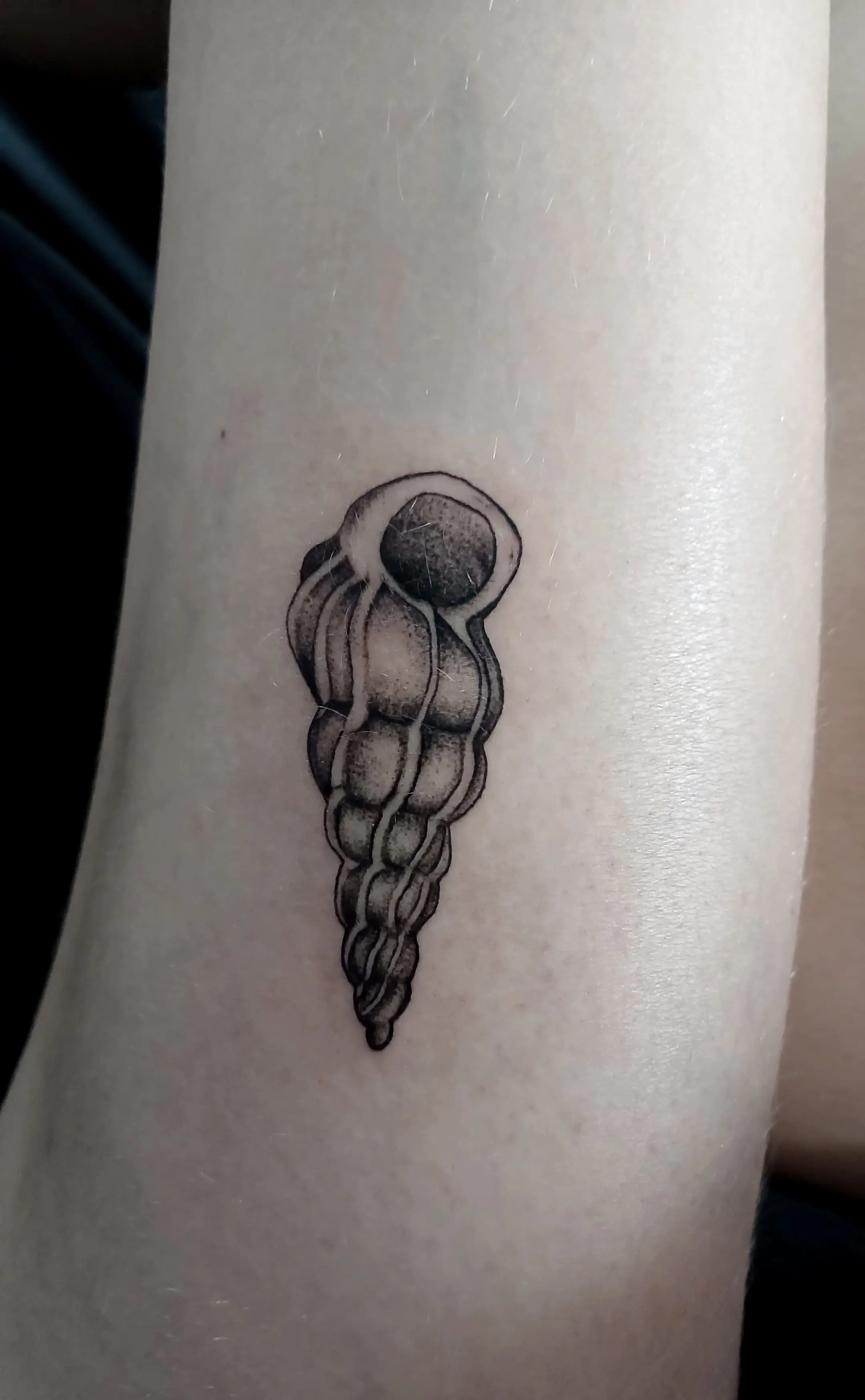 Tatuaggio di conchiglia con sfumature bianche e nere su coscia