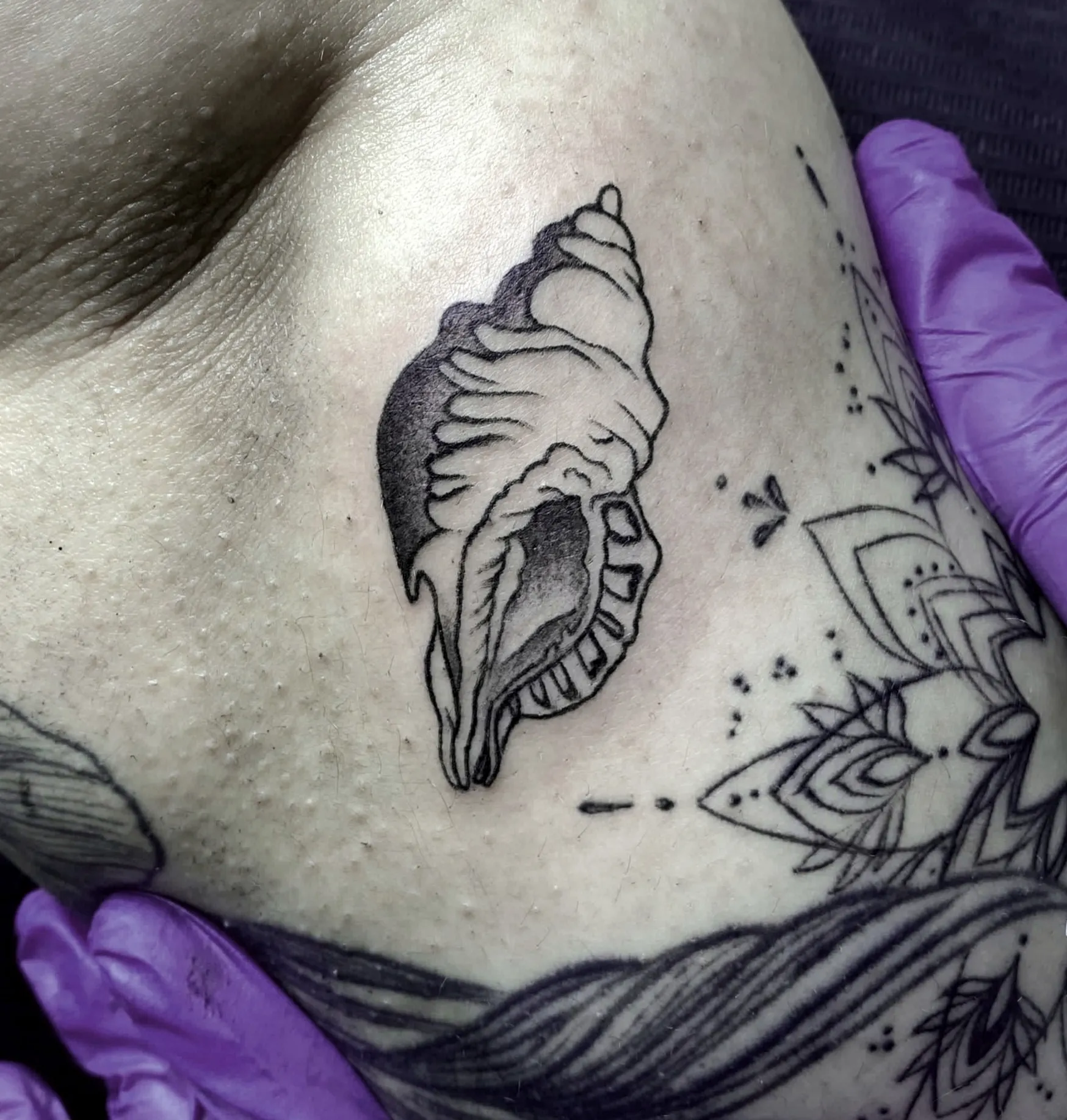 Tatuaggio solo linea che raffigura una conchiglia